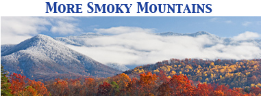 Smokies_label